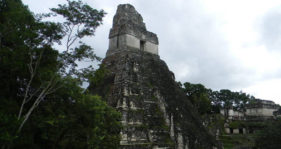 Mayan City