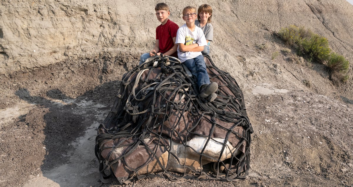 Featured T Rex Found In North Dakota