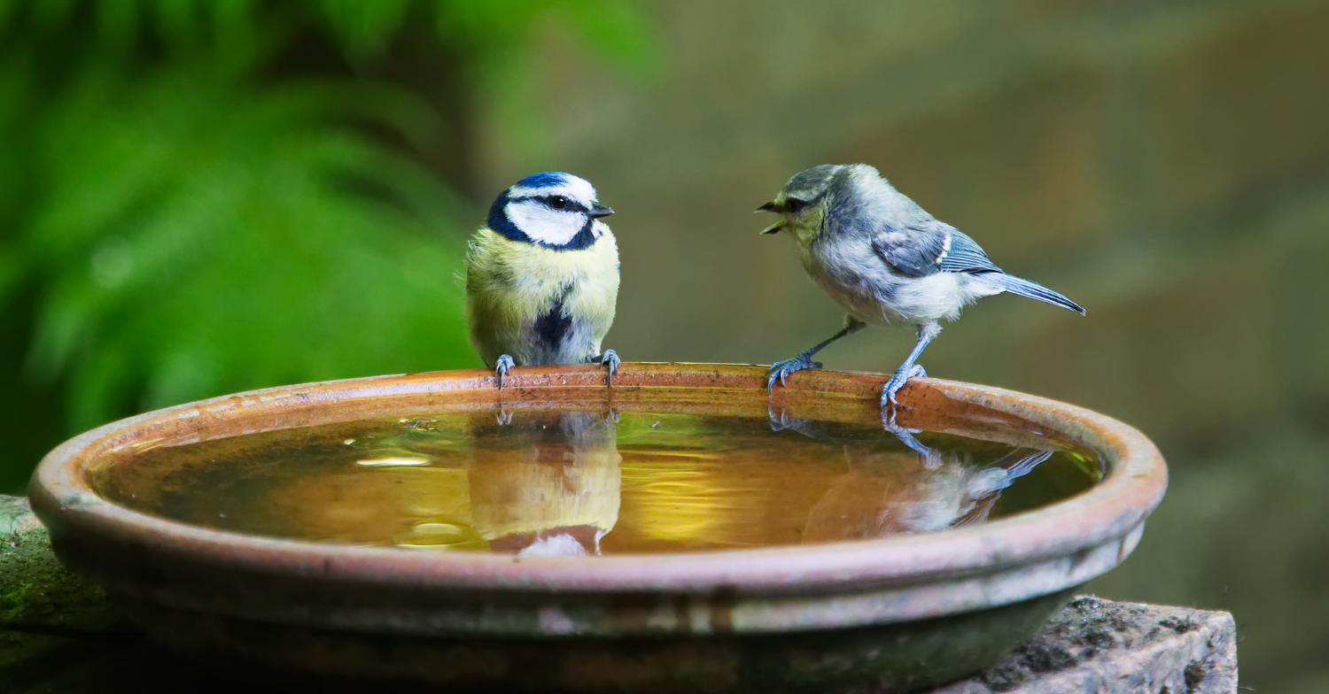 A picture of a Spiritual consultation with a reputable expert