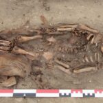 Inca Toddler Skeleton Featured