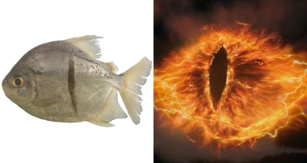 Fish Alongside Eye Of Sauron Featured