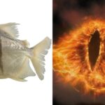 Fish Alongside Eye Of Sauron Featured