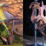 Lokiceratops Featured