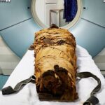 Ct Scan Of Mummy