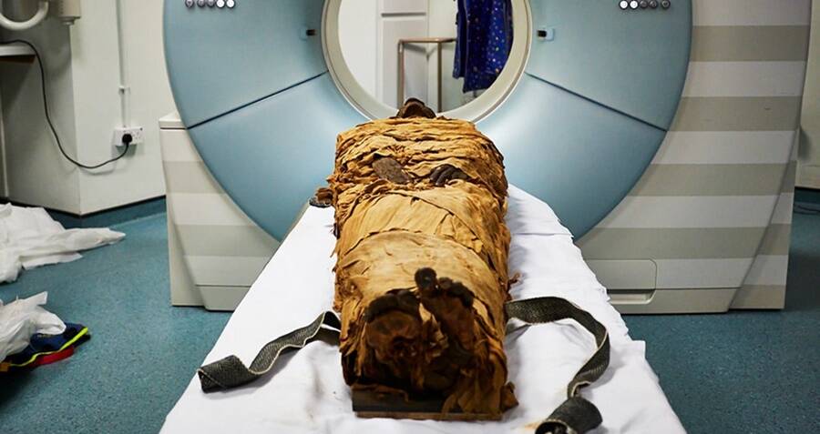 Ct Scan Of Mummy